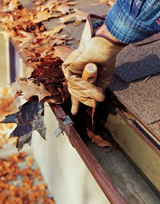 gutter cleaning