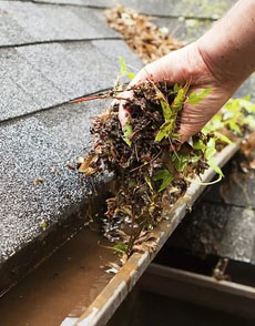 gutter cleaning