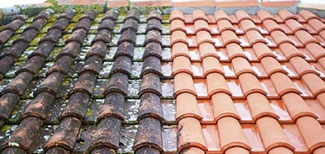 Roof Cleaning