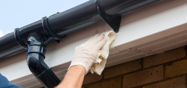 Gutter Cleaning