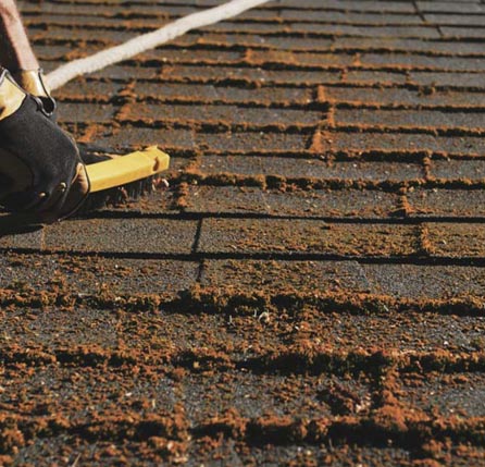 roof cleaning