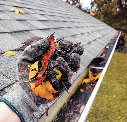 gutter cleaning