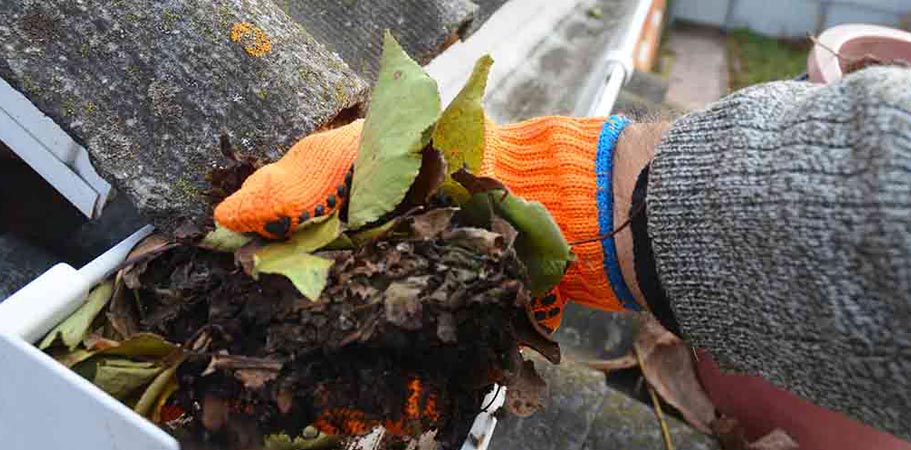 gutter cleaning